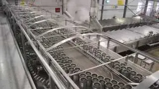 Sardine Canning Machines