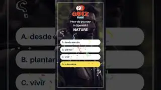 The Song of the Forest Short  | Engaging SPANISH Stories 🔥 | Level B2