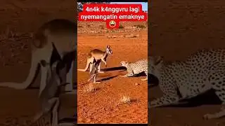 anaknya malah beri semangat ke emak dasar bocil #animals #viral