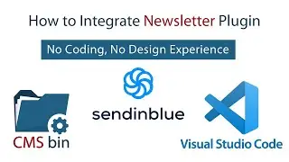 How to Integrate Newsletter Plugin - CMS bin