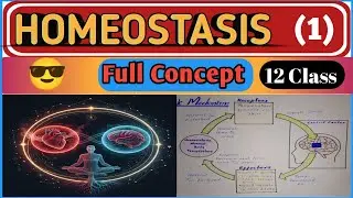What is Homeostasis? | Introduction & Components Of Homeostasis | FSC 12 Biology