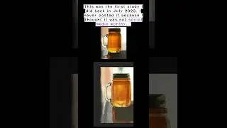 Honey Jar Digital Painting Study  #digitalart