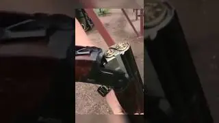 Gun