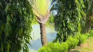Family Fun Awaits at Bangladesh Nature Study Park | Free Kids Rides