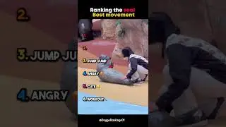 #teamcrazyy