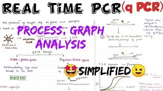 Real Time PCR (q PCR) || Quantitative PCR#types of pcr🤩