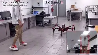 Bio inspired Visual Servoing for a Legged Robot