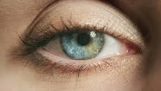 Introducing AutoAOI &ndash; Automate Eye Tracking Analysis with AI
