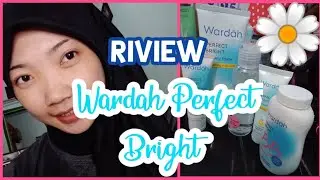 WARDAH PERFECT BRIGHT COCOK UNTUK PEMULA HARGA DI BAWAH 50.000