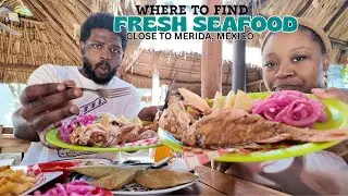 We Went to the beach for Fresh Seafood| Fresh Seafood Hunt | TEAMMATETV