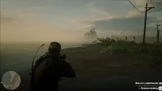 Розовая колпица (pink spoonbill) Red Dead Redemption 2