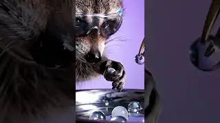 5 Surreal Animal ASMR Clips #funny