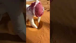 The Desert's Secret Fish 🏜 #facts