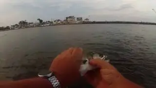 Вечерняя рыбалка на Point Pleasant Beach NJ (fluke, bluefish)