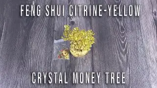 Unboxing of Feng Shui Citrine Money Tree for Wealth, Abundance & Good Luck