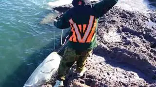 Matarangi Bait Fishing