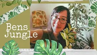 Bens Jungle Haul