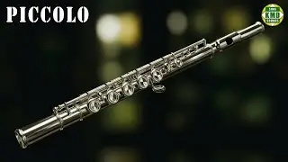 SOM DE PICCOLO 🎵 – SONS DE INSTRUMENTOS MUSICAIS – os melhores efeitos sonoros