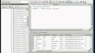 How to Execute a Query.avi