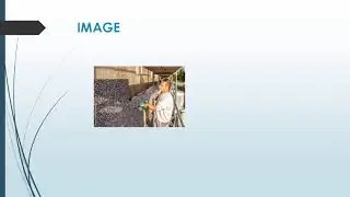 Best Internal Insulation Services in Ladycastle Lower