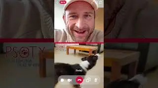 𝗛𝗮𝗹𝗼, 𝗦𝗽𝗿𝘆𝘁𝗲𝗸? 𝗦ł𝘆𝘀𝘇𝘆𝘀𝘇 𝗺𝗻𝗶𝗲? 🐕 𝗧𝗮𝘁𝗮 𝗻𝗮 𝗹𝗶𝗻𝗶𝗶! ☎️J