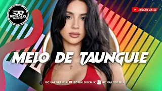MELO DE TAUNGULE - REGGAE INTERNACIONAL 2025 - REGGAE EXCLUSIVO @RONALDREMIX