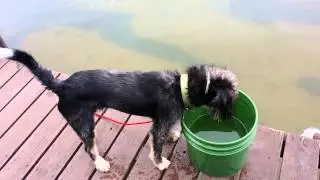 Up North Fishing, Doggie Style