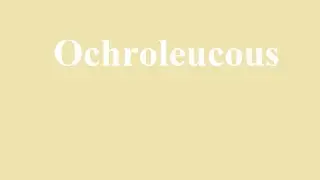 Ochroleucous