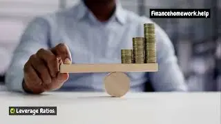 The Importance of Financial Ratios in Business Valuation