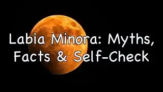 Labia Minora: Gentle Facts, Myths & a Simple Self-Check (Body-Positive Guide)