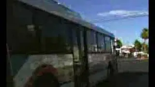 LAS VEGAS CAT NABI 436
