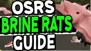 The Ultimate Brine Rats Slayer Guide Old School Runescape