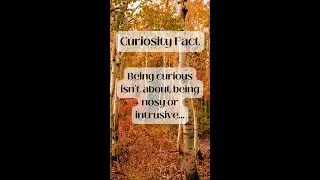 Being curious isn't about being nosy or intrusive...