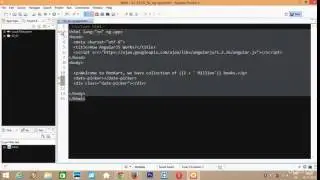 how angularjs works