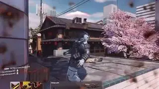 The best SMG on IW - Mactav 45/UMP 45