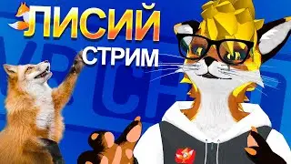 Спокойный лисий стрим 🦊