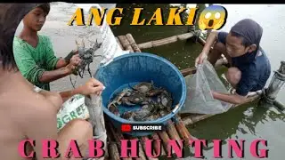 amazing crab hunting skills | Philippines