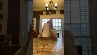 Demonstrating why Bounty Paper Towels is better than Great Value Paper Towels