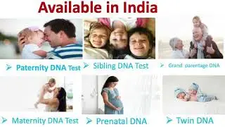 Affordable DNA Test