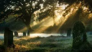 Sacred Grove - Ancient Forest Meditation | Ethereal Drone Soundscape