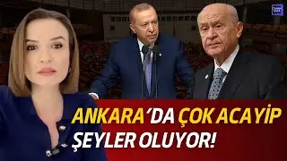 Hayret Edeceksiniz! BAHÇELİ, ERDOĞAN'A TERS KÖŞE Mİ YAPACAK!