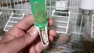 KANARYADA KAFES SECIMI.VE DIZAYNI VIDEO 4
