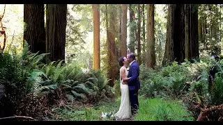 Redwood Forest Elopement - Ends on the ocean! TEASER TRAILER