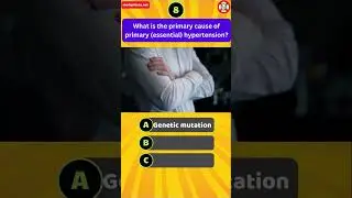 What is the primary cause of primary (essential) hypertension?