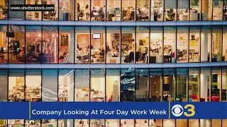 A New Zealand Company Tried A Four-Day Work Week. It was a 'Resounding Success'