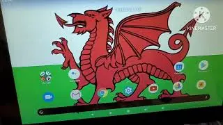 Tesing a HP USB External DVD Drive on a Windows Laptop and Android Tablet