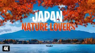 Japan in 4K 🇯🇵 | Beautiful Relaxing Music, Relaxing Nature Scenery for Deep Peace & Calm