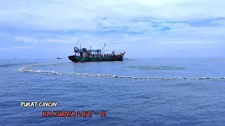 Proses Nelayan Aceh Menangkap Ikan di Laut Menggunakan PUKAT CINCIN || thuraya satsleeve