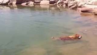 Atlas' Swimming Stroke