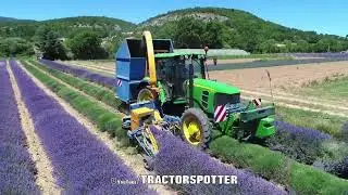 tractor cultivating harvesting and processing/ agricultural lavender farm  #technology #agriculture